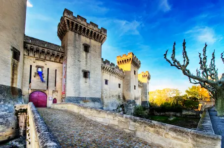 Camping Saint Gabriel : château de Tarascon vignette