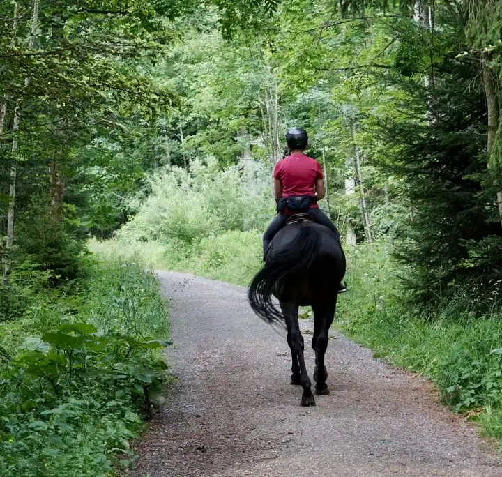 Balade à cheval au camping alpilles