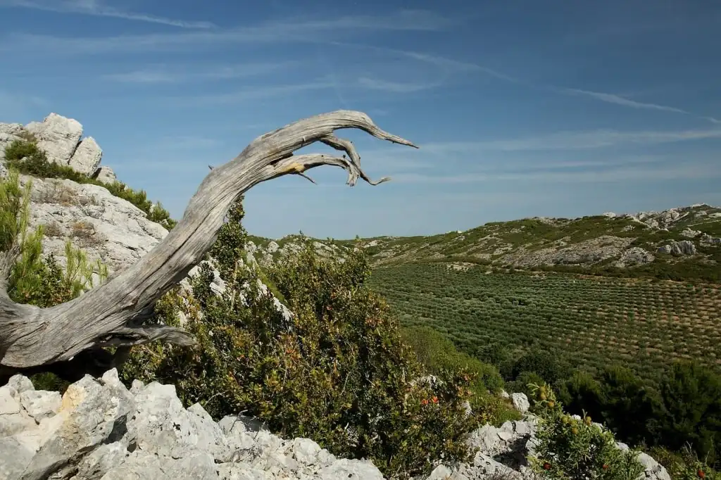 camping dans les alpilles