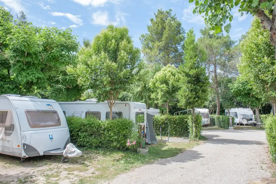 Camping Saint Gabriel : Emplacement Camping Alpilles