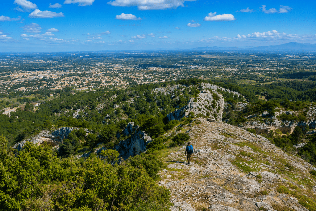Paysages des Alpilles près de Tarascon en Provence