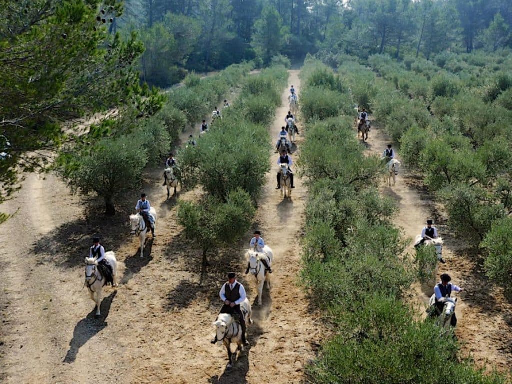 Balade à cheval en Provence près du Camping Saint Gabriel à Tarascon