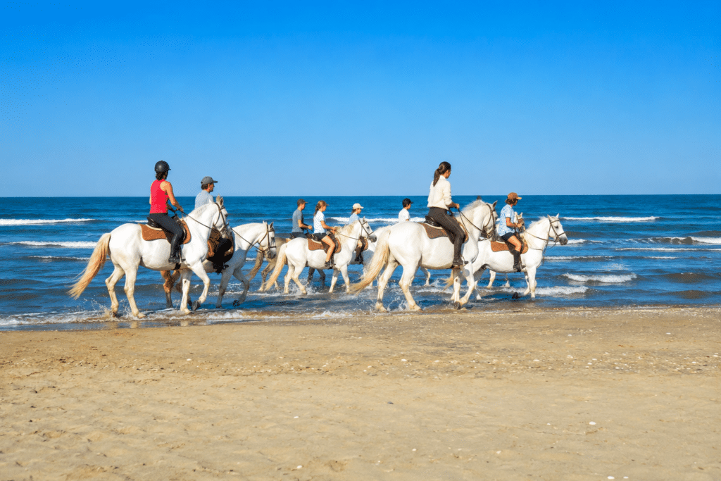 Promenade à cheval camarguais sur une plage des Saintes-Maries-de-la-Mer