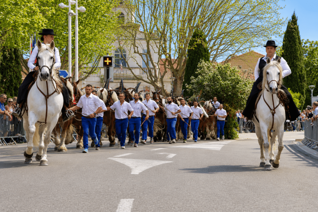Traditions provençales à Saint-Martin-de-Crau dans les Bouches-du-Rhône