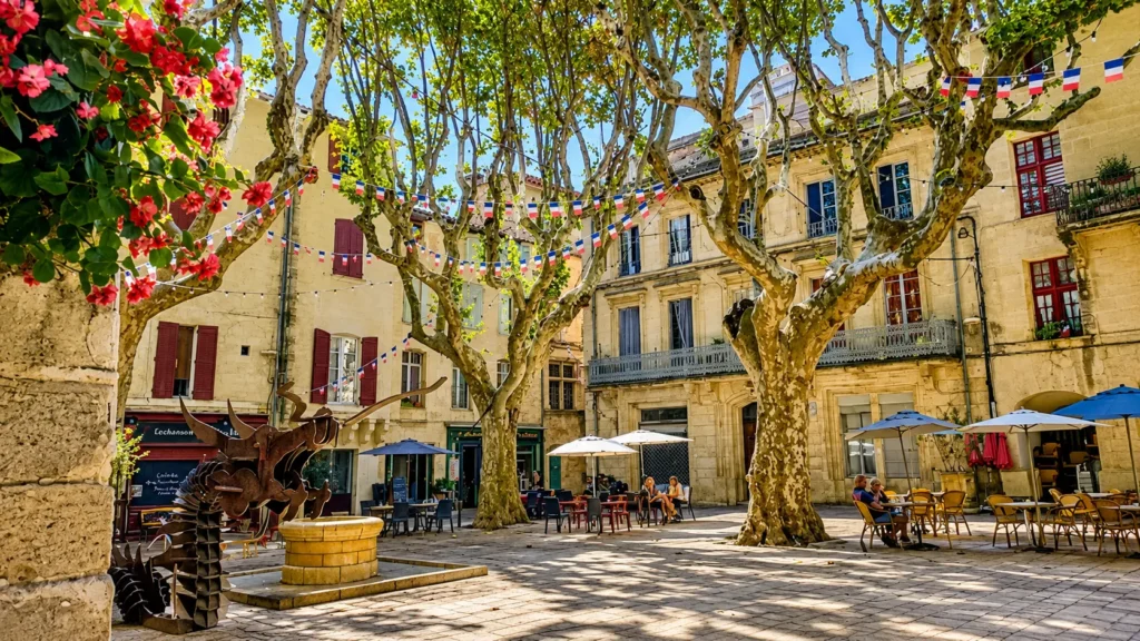 Place ombragée du centre historique de Beaucaire dans le Gard