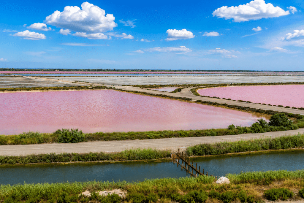Salins et étangs de Camargue dans le sud de la France