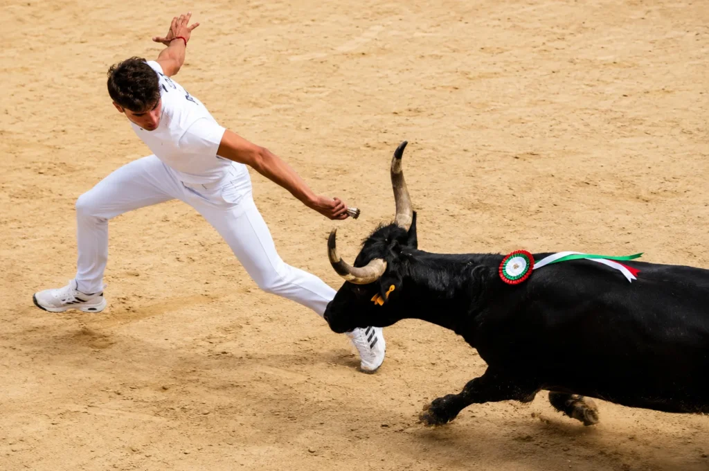 « Château de Tarascon » by Wolfang Staudt is licensed under CC BY 2.0 DEED Course camarguaise dans les Arènes d'Arles, tradition taurine emblématique de Provence